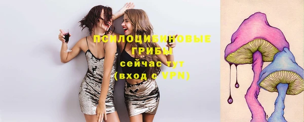 ПСИЛОЦИБИНОВЫЕ ГРИБЫ Зерноград