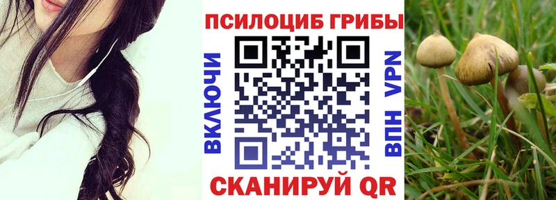 Купить Боровск Галлюциногенные грибы Psilocybe