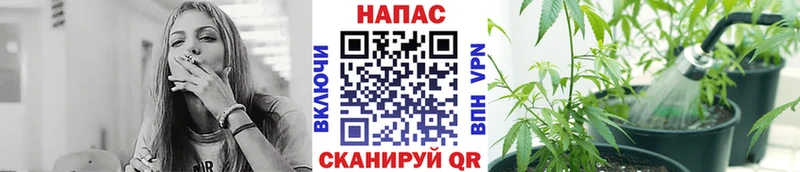Купить  Боровск  Бошки Шишки SATIVA & INDICA 